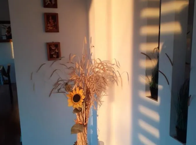 Ferienhaus Letnisko Nad Goplem